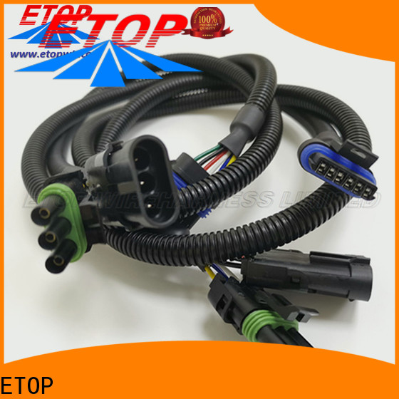 professional vehicle wire harness ideal for motor industry