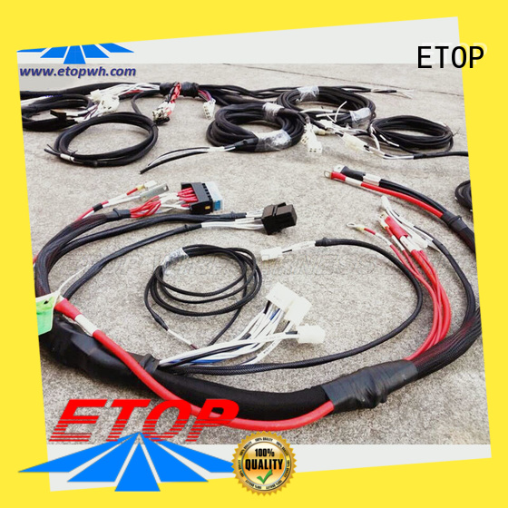 ETOP vehicle wire harness suitable for global automotive market