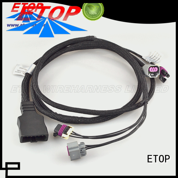 ETOP auto wiring harness suitable for global automotive market