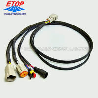 Automotive Engine Modified Complete Wiring Harnesses