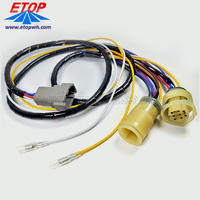 Custom Auto Headlight Wire Harness DTM04-08P Deutsch Connector Cable