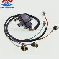 custom Diesel Engine Fuel Injection Wire Harness with DTV02-18 connectors