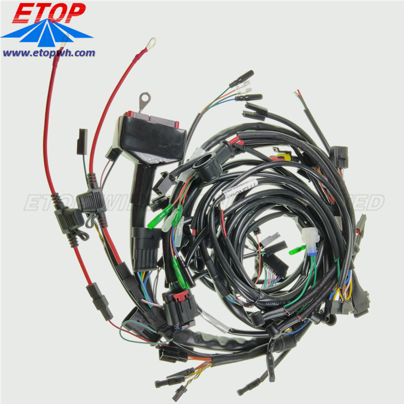 Car Ecu Wiring Harness And Ampseal Connector Cable Assembly | Etop