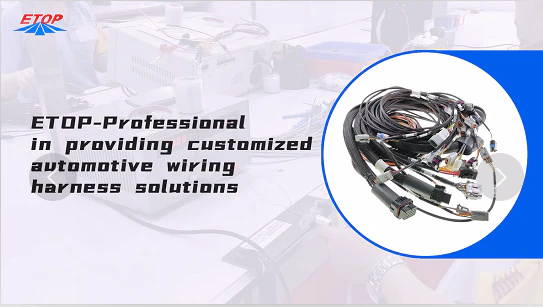 Custom Wire Harness and Molded Cable Assemblies